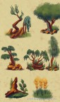 tree studies